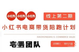 小红书电商带货课2期，月利润20个的小红书电商的有货源，无货源，虚拟产品，付费投流等整套玩法-稀缺资源库