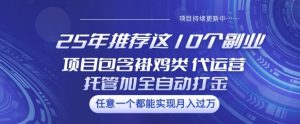 25年推荐这10个副业项目包含褂鸡类、代运营托管类、全自动打金类【揭秘】-稀缺资源库