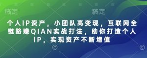 个人IP资产,小团队高变现,互联网全链路赚QIAN实战打法,助你打造个人IP,实现资产不断增值-稀缺资源库