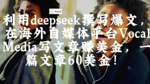 出海搞钱!利用deepseek撰写爆文,在海外自媒体平台Vocal Media写文章挣美金,一篇文章60刀-稀缺资源库