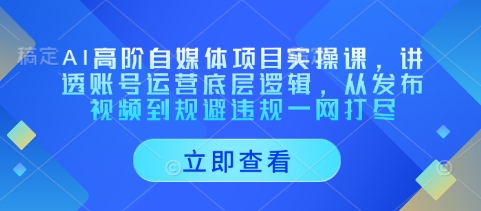AI高阶自媒体项目实操课，讲透账号运营底层逻辑，从发布视频到规避违规一网打尽-稀缺资源库
