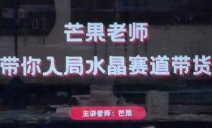 2025微信广告掘金计划,小程序+公众号双管齐下,单日稳定变现过千【揭秘】-稀缺资源库