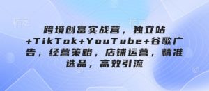 跨境创富实战营,独立站+TikTok+YouTube+谷歌广告,经营策略,店铺运营,精准选品,高效引流-稀缺资源库