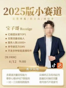 宝子哥4月12-13号线下课,全程录音【带字幕】和PPT,本期重点短视频打法摆脱缺号困扰-稀缺资源库