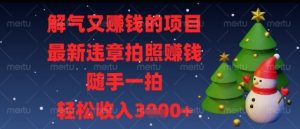 解气又挣钱的项目,最新违章拍照挣钱,随手一拍,轻松收入多张【揭秘】-稀缺资源库