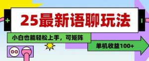 25年最新语聊玩法,纯手工,单机收益100+,小白也能轻松上手,可矩阵操作-稀缺资源库