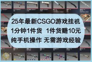 25年最新CSGO游戏挂G，1分钟1件货，1件货挣10元，纯手机操作，无需游戏经验【揭秘】-稀缺资源库