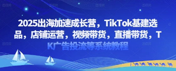 2025出海加速成长营，TikTok基建选品，店铺运营，视频带货，直播带货，TK广告投流等系统教程-稀缺资源库