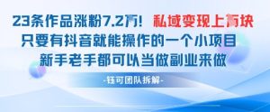抖音私域项目23条作品涨粉7.2W,私域变现1W-稀缺资源库