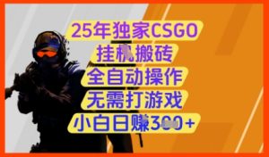 25年独家CSGO挂G搬砖,全自动操作,无需打游戏,小白日入3张+【揭秘】-稀缺资源库