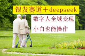 银发赛道+deepseek数字人全域变现，小白也能操作-稀缺资源库