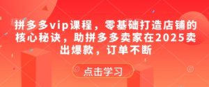 拼多多vip课程,零基础打造店铺的核心秘诀,助拼多多卖家在2025卖出爆款,订单不断-稀缺资源库