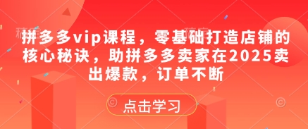 拼多多vip课程，零基础打造店铺的核心秘诀，助拼多多卖家在2025卖出爆款，订单不断-稀缺资源库
