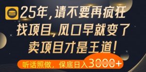 什么?25年你还在疯狂找项目做,醒醒吧,看完这些你全都懂了【揭秘】-稀缺资源库