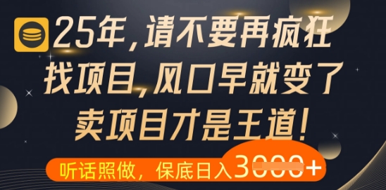 什么？25年你还在疯狂找项目做，醒醒吧，看完这些你全都懂了【揭秘】-稀缺资源库