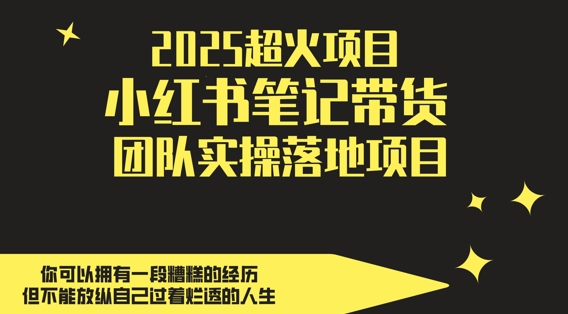 2025超火项目，副业最佳选择，小红书笔记带货团队实操落地项目，，轻松日入5张-稀缺资源库