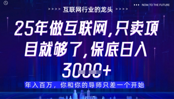 什么！25年你还在找项目做？风口早就变了，卖项目才是稳挣不赔【揭秘】-稀缺资源库
