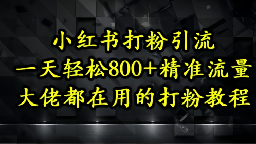 小红书打粉引流，一天轻松500+精准流量，大佬都在用的打粉教程-稀缺资源库