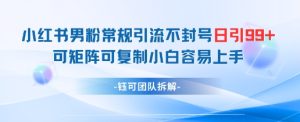 小红书男粉常规引流不封号日引99+变现简单 可矩阵可复制小白容易上手-稀缺资源库