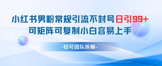 小红书男粉常规引流不封号日引99+变现简单 可矩阵可复制小白容易上手-稀缺资源库