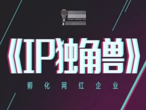 IP独角兽，孵化网红企业，ip教程-稀缺资源库