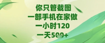 你只管截图，一部手机在家做，苹果安卓都可以，一天5张+【揭秘】-稀缺资源库