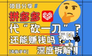 【2025最新】拼多多代坎助力项目深度拆解:还能挣钱吗?全流程玩法-稀缺资源库