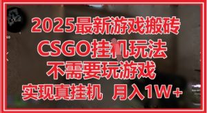 2025最新游戏搬砖,CSGO挂G,不需要玩游戏,实现真挂G,月入1W+【揭秘】-稀缺资源库