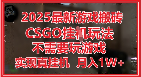 2025最新游戏搬砖，CSGO挂G，不需要玩游戏，实现真挂G，月入1W+【揭秘】-稀缺资源库