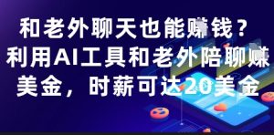 和老外聊天也能挣钱?利用AI工具和老外陪聊挣美金,时薪可达20刀-稀缺资源库