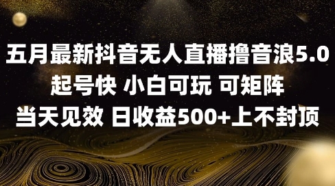 2025五月最新无人直播撸音浪单日产出5张+实操教程【揭秘】-稀缺资源库