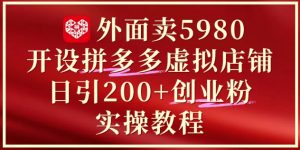 外面卖5980开设拼多多虚拟店铺:单日引流200+创业付费粉实战教程-稀缺资源库