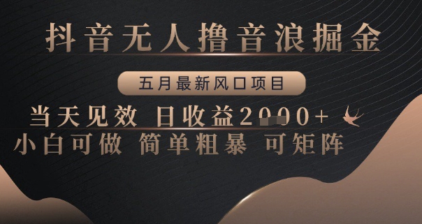 抖音无人撸音浪掘金，五月最新风口项目，当天见效，日收益多张，小白可做简单粗暴可矩阵【揭秘】-稀缺资源库