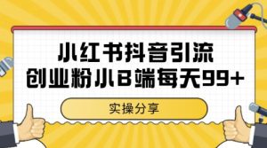 小红书抖音创业粉,小B端粉自热,日引99+的一个玩法【揭秘】-稀缺资源库