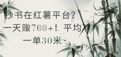 抄书在小红薯平台？平均一单30米，一天收益几张！-稀缺资源库