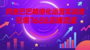 阿里巴巴精细化运营实战课,引爆1688店铺流量-稀缺资源库