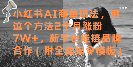 小红书AI商单玩法，用这个方法2个月涨粉7W+，新手也能接品牌合作(附全套指令模板)-稀缺资源库