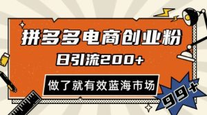 拼多多引流电商创业粉,日引200+,可矩阵放大,做了就有效【揭秘】-稀缺资源库