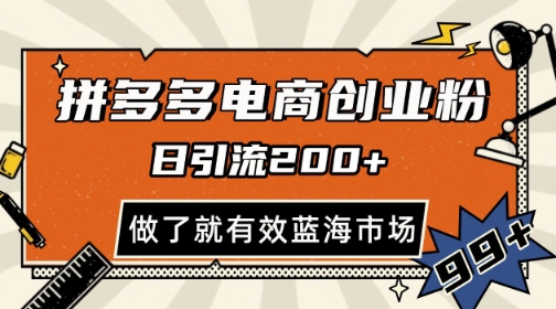 拼多多引流电商创业粉，日引200+，可矩阵放大，做了就有效【揭秘】-稀缺资源库