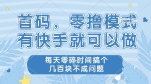 首码,零撸模式,有快手就可以做,每天零碎时间搞个几张不成问题【揭秘】-稀缺资源库