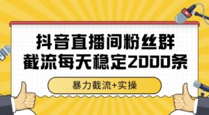 抖音直播间粉丝群暴力截流，一台电脑每天稳定2000条数据，暴力截流+实操 【揭秘】-稀缺资源库