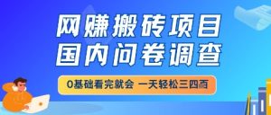 网创搬砖项目，国内问卷调查，小白轻松上手，一天三四张的也不难，干就完了【揭秘】-稀缺资源库