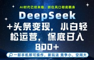 DeepSeek+头条变现，保姆级教学，小白轻松上手，日入8张+【揭秘】-稀缺资源库