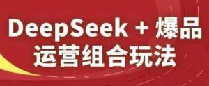 DeepSeek+爆品运营组合玩法，2025淘系精品课-稀缺资源库