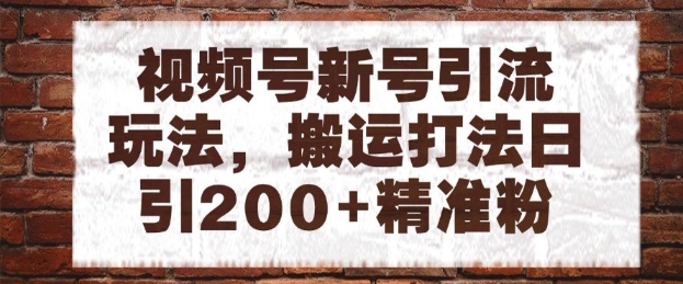 视频号新号引流玩法，搬运打法日引200+精准粉，可矩阵放大【揭秘】-稀缺资源库