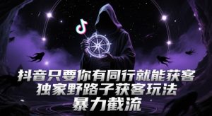 抖音只要你有同行就能获客，独家野路子获客玩法，暴力截流【揭秘】-稀缺资源库