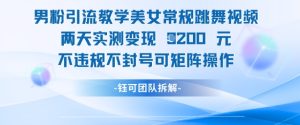 男粉引流教学美女常规跳舞视频两天实测变现1k+,不违规不封号可矩阵操作-稀缺资源库