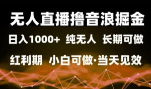 无人直播撸音浪掘金，日入1k+，纯无人红利期，小白可做，当天见效【揭秘】-稀缺资源库