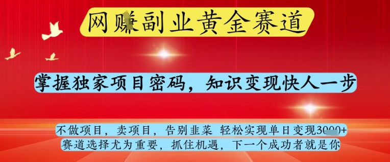 网创副业黄全赛道，掌握独家项目密码，知识变现快人一步，告别韭菜轻松实现单日变现1k+【揭秘】-稀缺资源库
