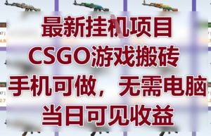最新挂G项目,CSGO游戏搬砖,手机可做,无需电脑,当日见收益【揭秘】-稀缺资源库